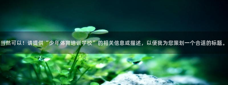 尊龙官网手