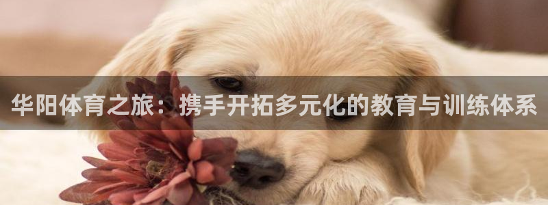 尊龙凯时提现不了