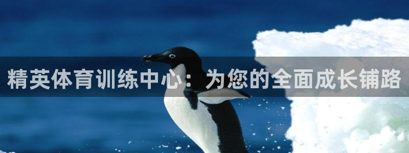 尊龙凯时官网入口