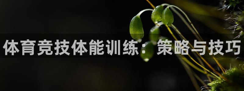 尊龙凯时ag旗舰厅官方网站