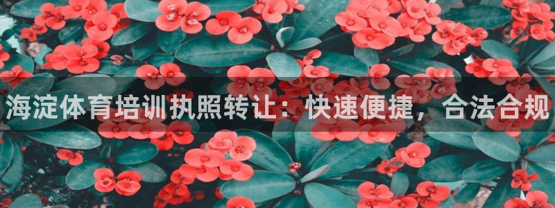 尊龙凯时提不了款：海淀体育培训执照转让：快速便捷，合法合规